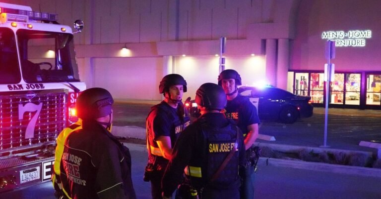 “Black Friday Mall Shooting Injures Three in San Jose”