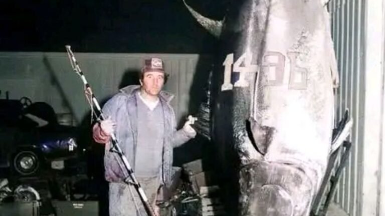 “Massive Atlantic Bluefin Tuna Record Stands for 45 Years”