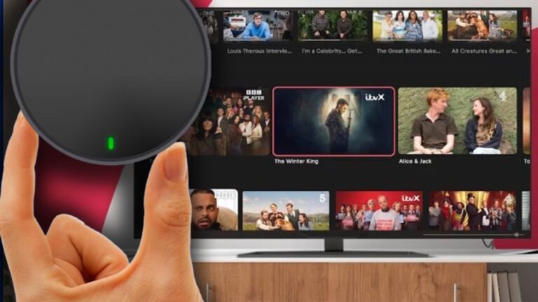 eBay’s PLEIO Device: Legal, Free TV Streaming Solution