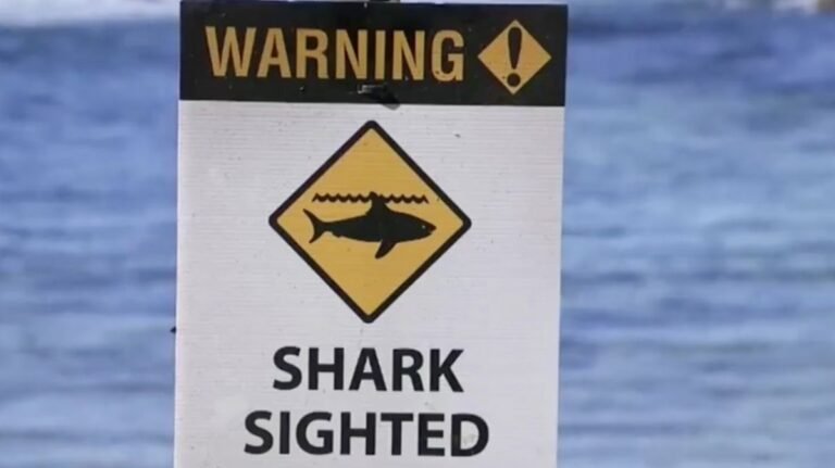 “Fatal Shark Attack Claims Woman’s Life in Australia”